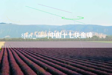 东方中国十七块金牌
