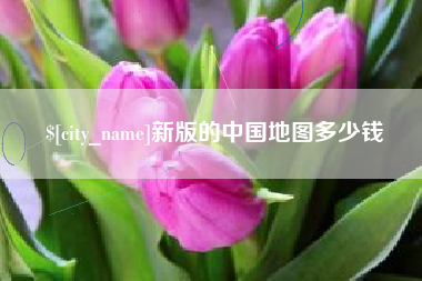 东方新版的中国地图多少钱