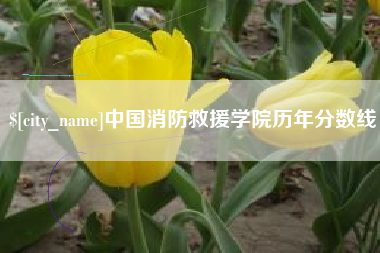 东方中国消防救援学院历年分数线