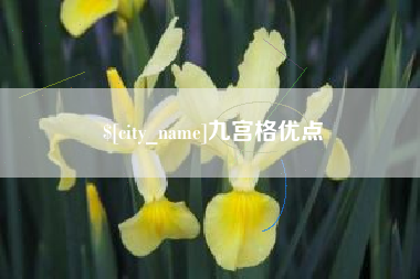 东方九宫格优点