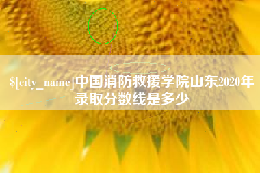 东方中国消防救援学院山东2020年录取分数线是多少