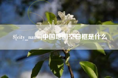 东方中国地图空白框是什么