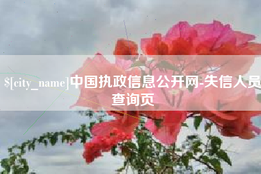 东方中国执政信息公开网-失信人员查询页