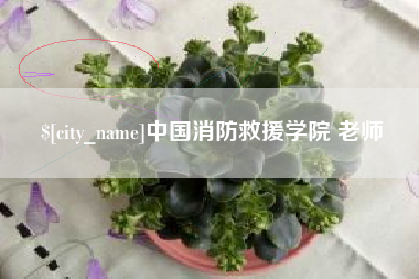 东方中国消防救援学院 老师