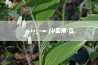 东方中国第9金