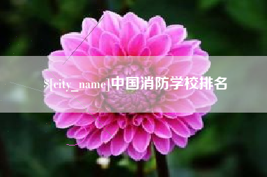 东方中国消防学校排名