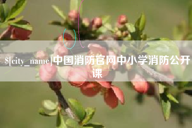 东方中国消防官网中小学消防公开课