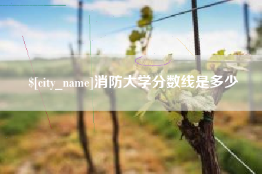 东方消防大学分数线是多少