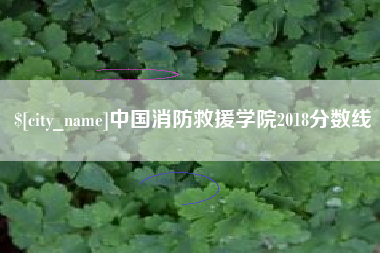 东方中国消防救援学院2018分数线