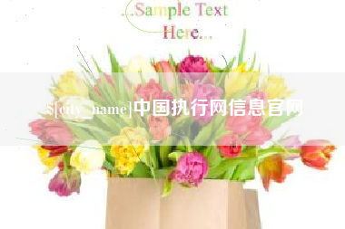 东方中国执行网信息官网