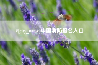 东方中国消防报名入口