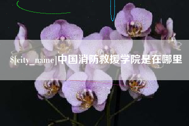 东方中国消防救援学院是在哪里