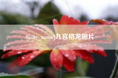 东方九宫格龙图片