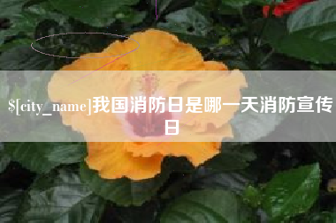 东方我国消防日是哪一天消防宣传日