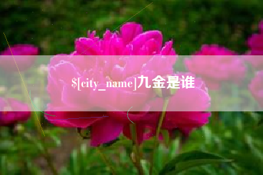 东方九金是谁