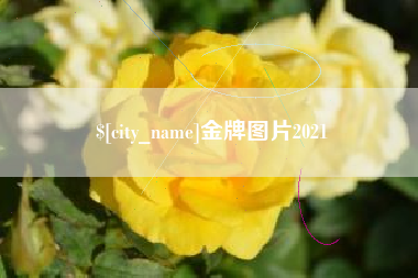 东方金牌图片2021