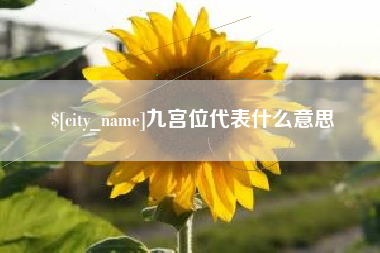 东方九宫位代表什么意思