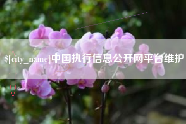 东方中国执行信息公开网平台维护