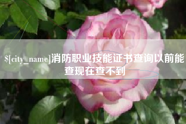 东方消防职业技能证书查询以前能查现在查不到