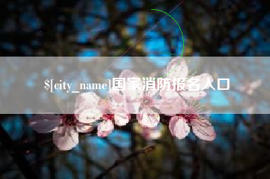 东方国家消防报名入口