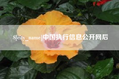 东方中国执行信息公开网后