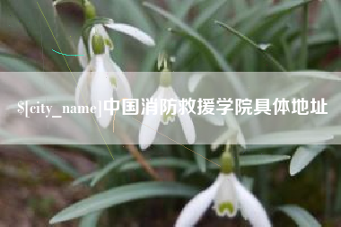 东方中国消防救援学院具体地址