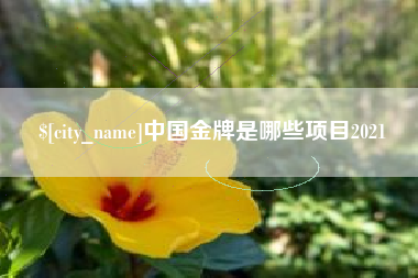 东方中国金牌是哪些项目2021