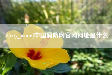 东方中国消防网官网网址是什么