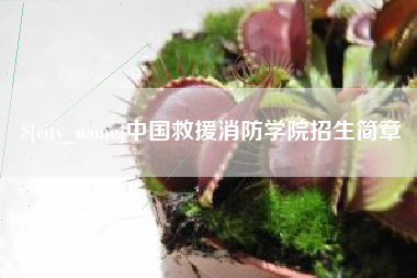 东方中国救援消防学院招生简章
