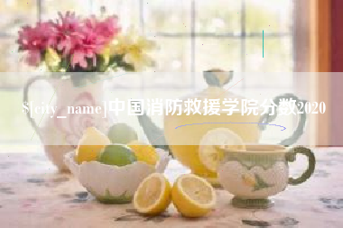 东方中国消防救援学院分数2020