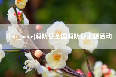东方消防日全国消防日主题活动