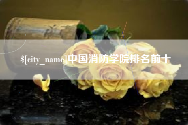 东方中国消防学院排名前十