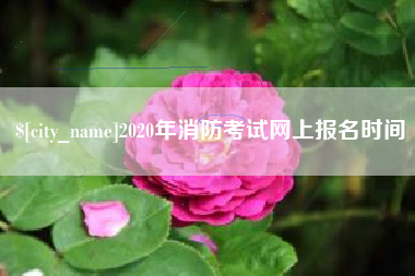 东方2020年消防考试网上报名时间