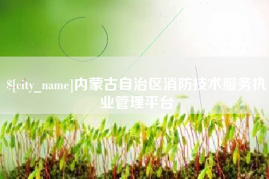 东方内蒙古自治区消防技术服务执业管理平台