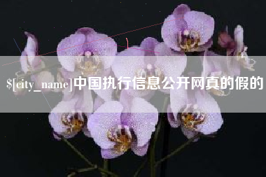 东方中国执行信息公开网真的假的