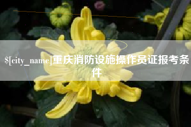 东方重庆消防设施操作员证报考条件