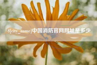 东方中国消防官网网址是多少