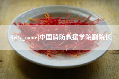 东方中国消防救援学院副院长