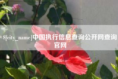东方中国执行信息查询公开网查询官网