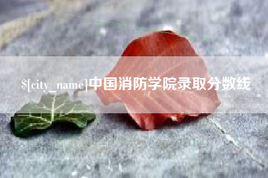 东方中国消防学院录取分数线