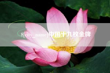 东方中国十九枚金牌