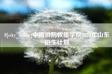 东方中国消防救援学院2021年山东招生计划