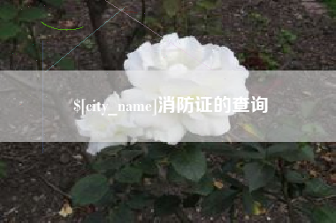 东方消防证的查询