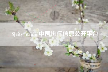 东方中国执行信息公开平台