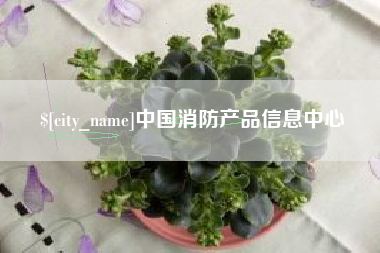 东方中国消防产品信息中心