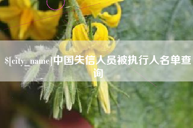东方中国失信人员被执行人名单查询