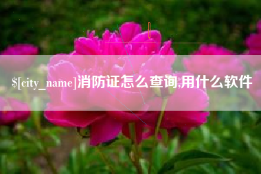 东方消防证怎么查询,用什么软件