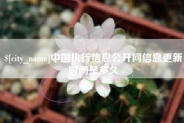 东方中国执行信息公开网信息更新时间是多久
