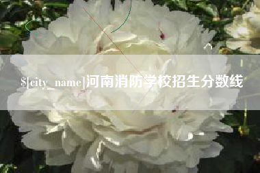 东方河南消防学校招生分数线