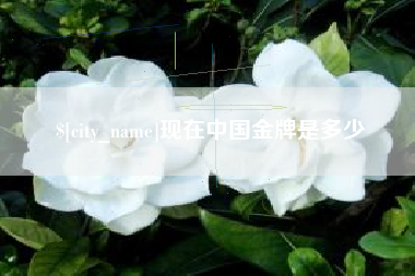 东方现在中国金牌是多少